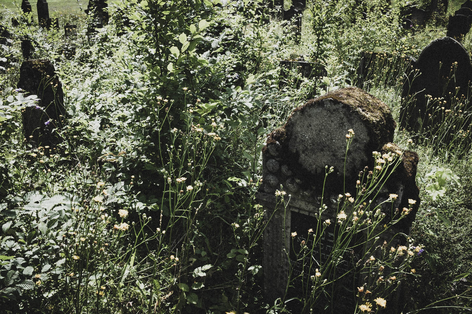 Spangenberg, Jüdischer Friedhof